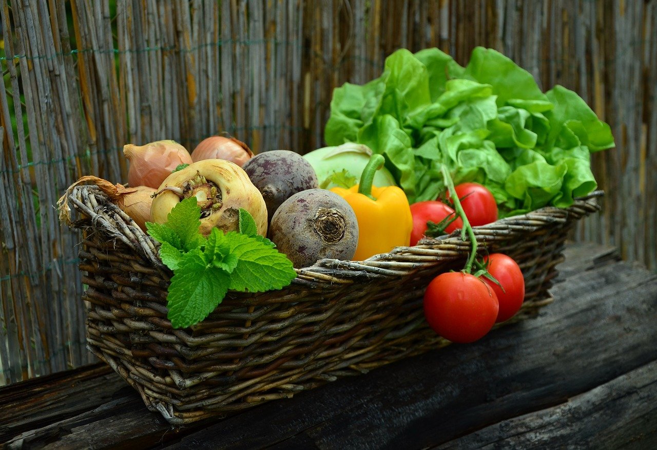 vegetables, basket, vegetable basket, harvest, produce, organic, fresh, fresh produce, fresh vegetables, nature, assorted, food, garden, salad, healthy